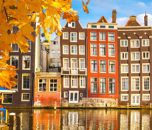 Amsterdam FP&A Board