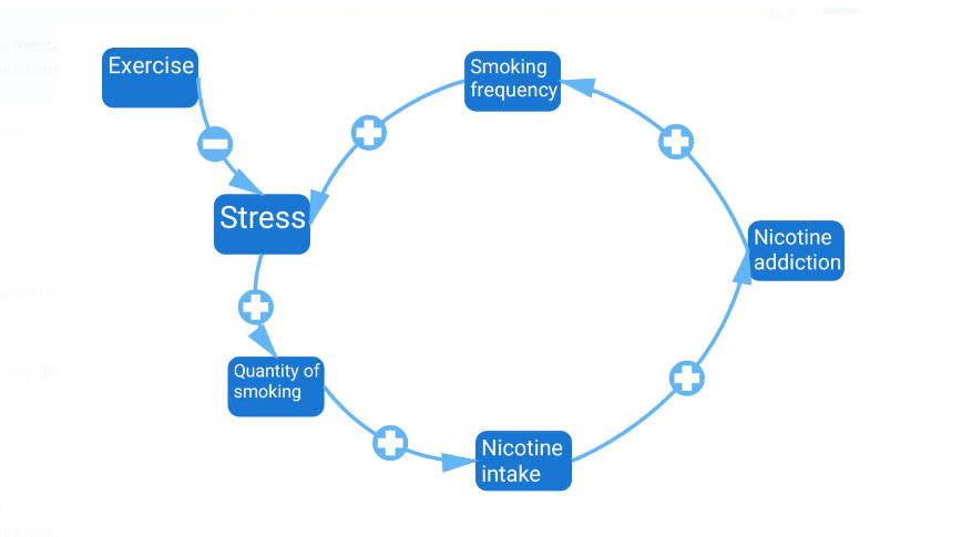 Causal loop diagram (CLD)