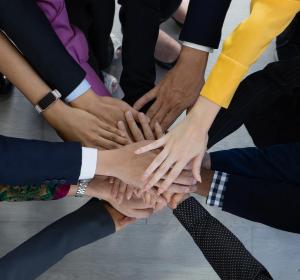 Sahil-Kamani-Pablo-Gomez-Valle-FPA-Diversity