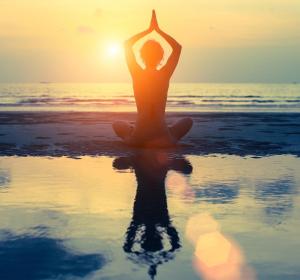 Michael-Gordon-MAPS-Framework-Sustainable-FPA