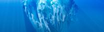 The FP&A Trends Webinar: FP&A Change Management in the Age of AI