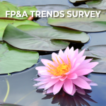 FP&A Trends Survey