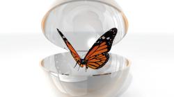 Unlocking FP&A Analytical Transformation