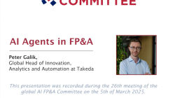 AI Agents in FP&A, case study by Peter Galik