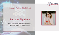 Strategic Partnership Skillset​ by Svetlana Sigalova